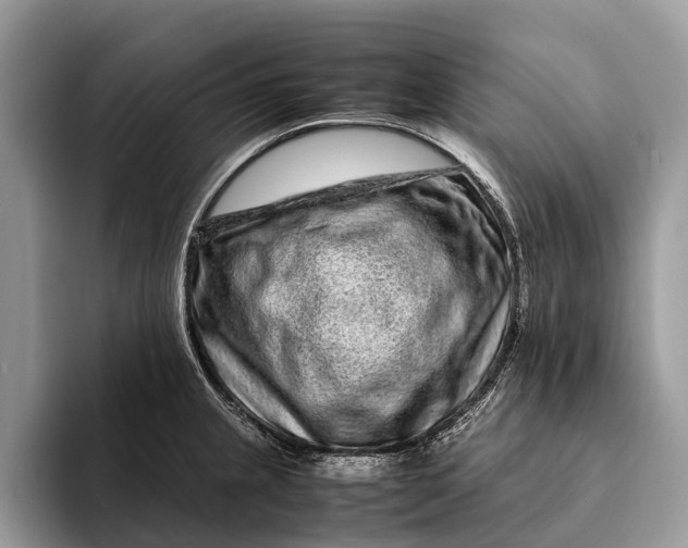 X0000093161237200710171204