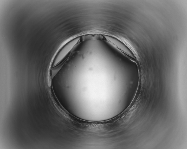 X0000093161238200710171204