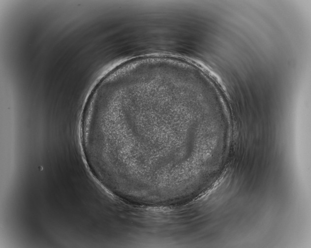 X0000093161239200710171204