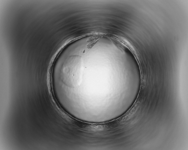 X0000093161243200710171204