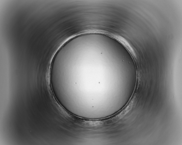 X0000093161244200710171204