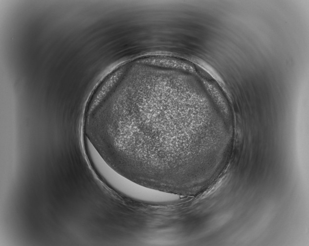 X0000093161245200710171204