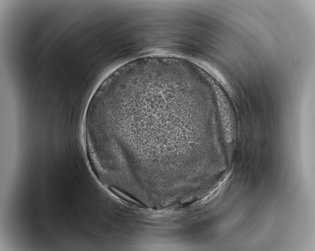 X0000093161247200710171204