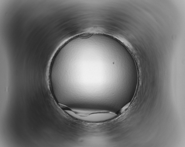 X0000093161248200710171204