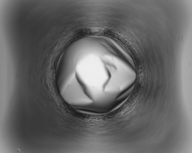 X0000093161249200710171203