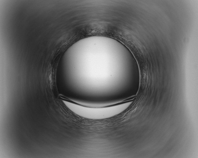 X0000093161250200710171203
