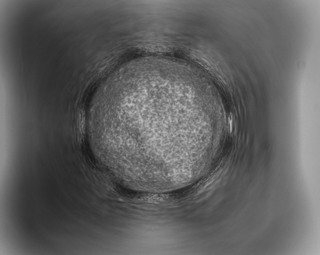 X0000093161251200710171203