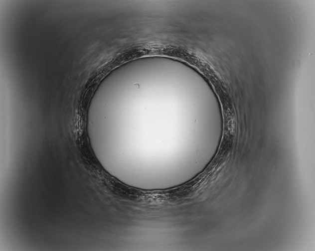 X0000093161253200710171203