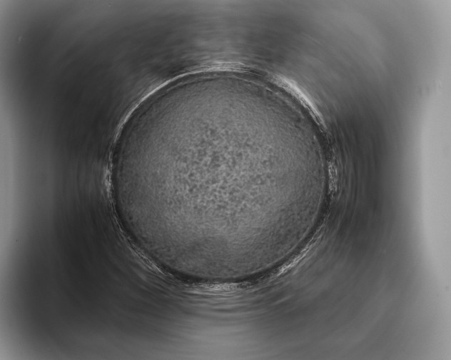 X0000093161260200710171203
