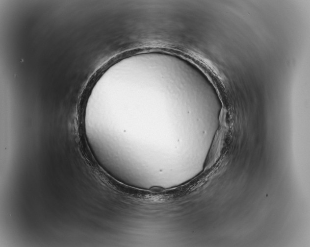X0000093161264200710171203