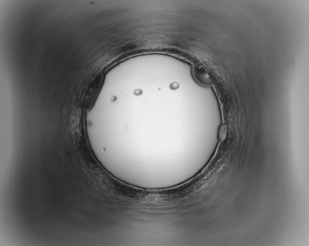 X0000093161265200710171203
