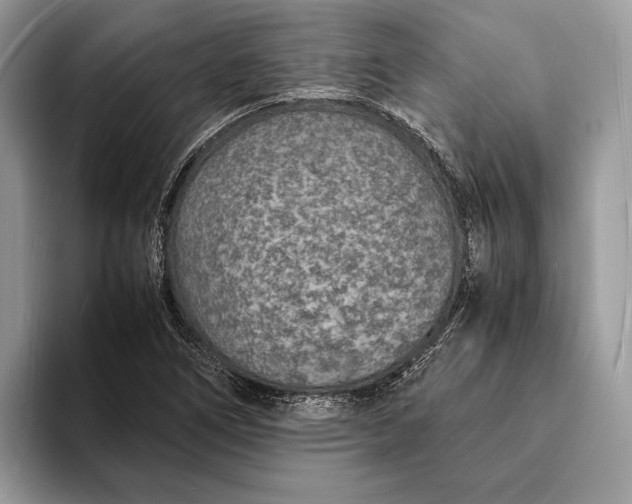 X0000093161266200710171203