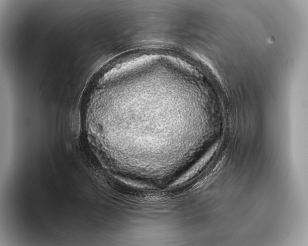X0000093161267200710171203