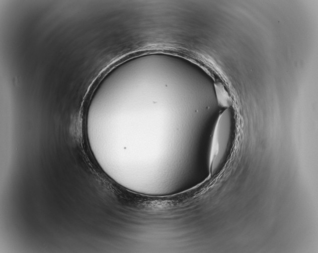 X0000093161268200710171203