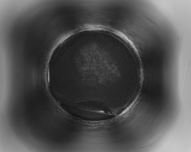 X0000093161269200710171203