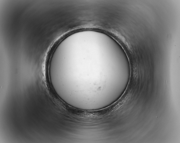 X0000093161270200710171203