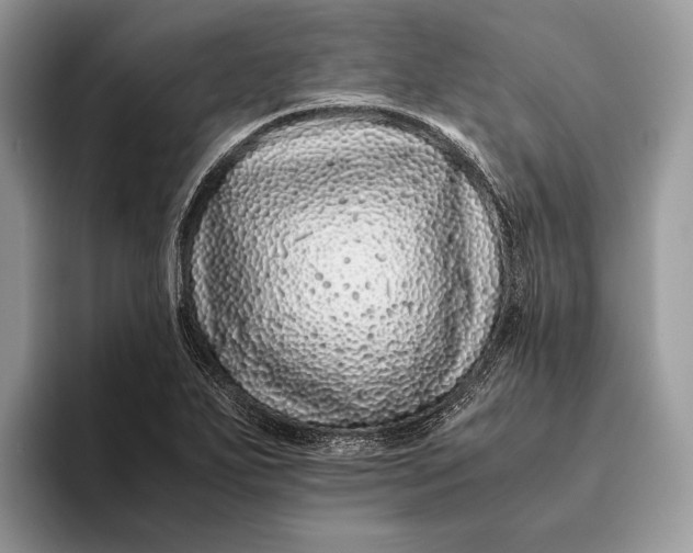 X0000093161271200710171203
