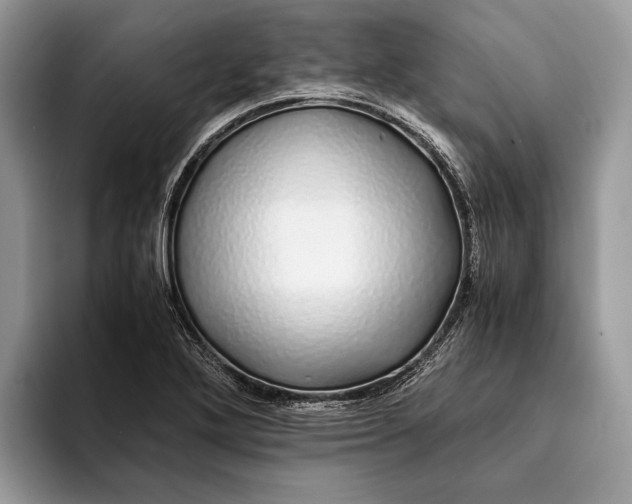 X0000093161272200710171203