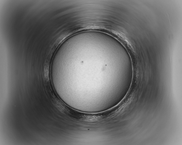 X0000093161273200710171203