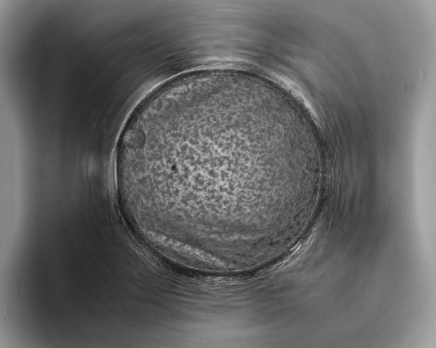 X0000093161275200710171203
