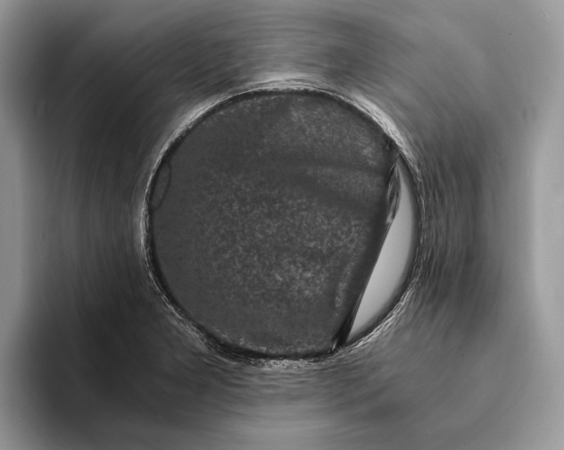 X0000093161277200710171203