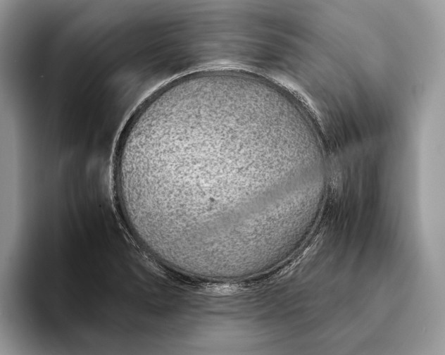 X0000093161278200710171203