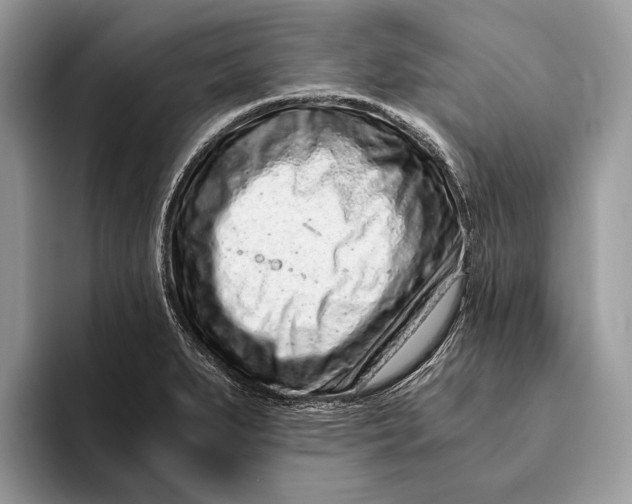 X0000093161279200710171203