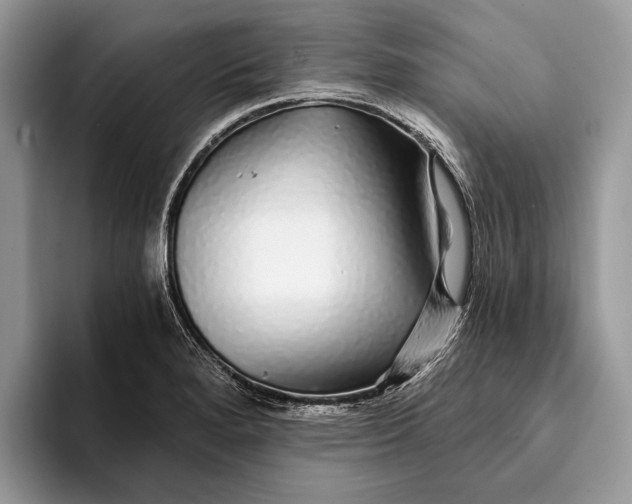 X0000093161280200710171203