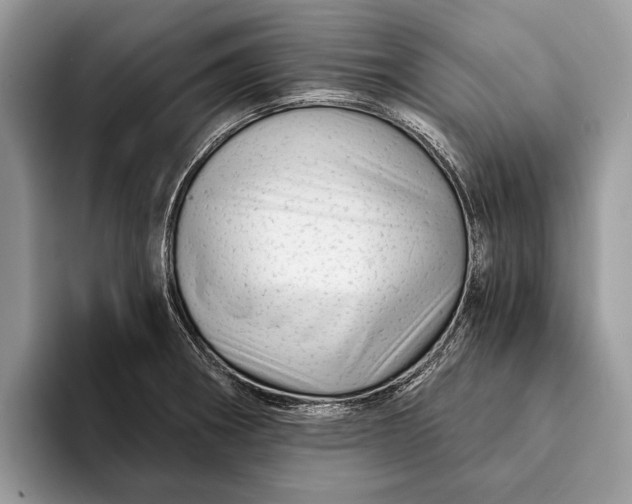 X0000093161282200710171203