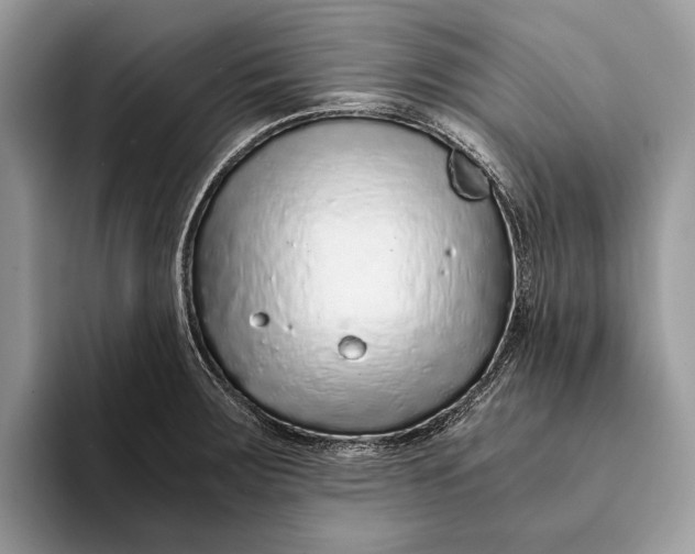 X0000093161283200710171203