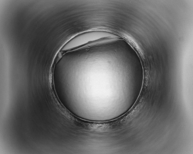 X0000093161284200710171203