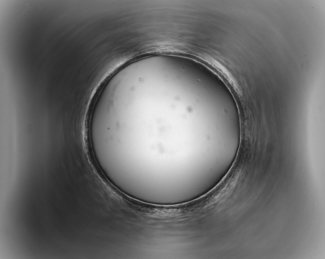 X0000093161285200710171203