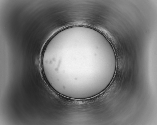 X0000093161286200710171203