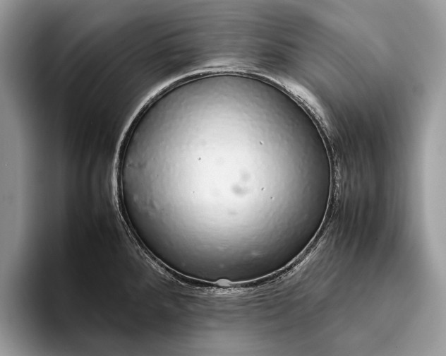 X0000093161288200710171203