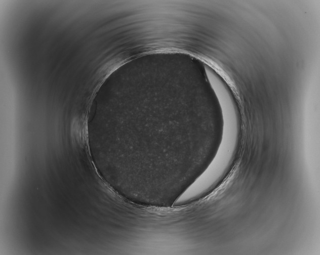X0000093161289200710171203