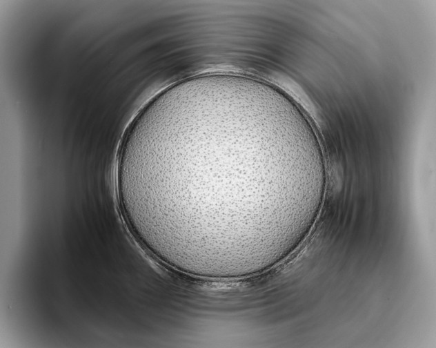 X0000093161290200710171203