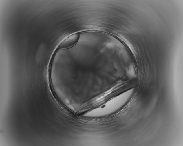 X0000093161291200710171203