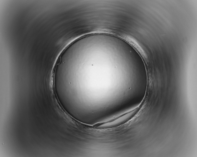 X0000093161292200710171203
