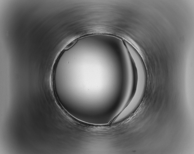 X0000093161293200710171203