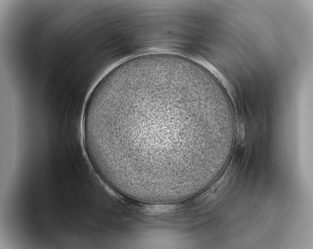 X0000093161294200710171203