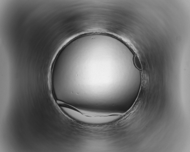 X0000093161295200710171203