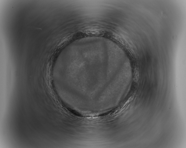 X0000093161297200710171202