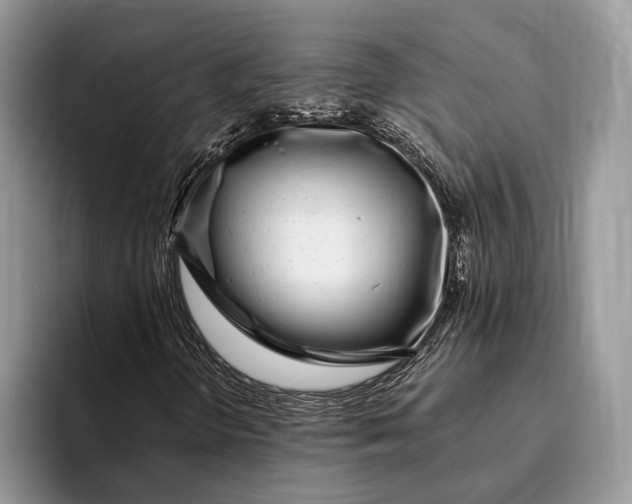 X0000093161298200710171202