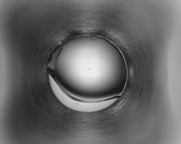 X0000093161300200710171202