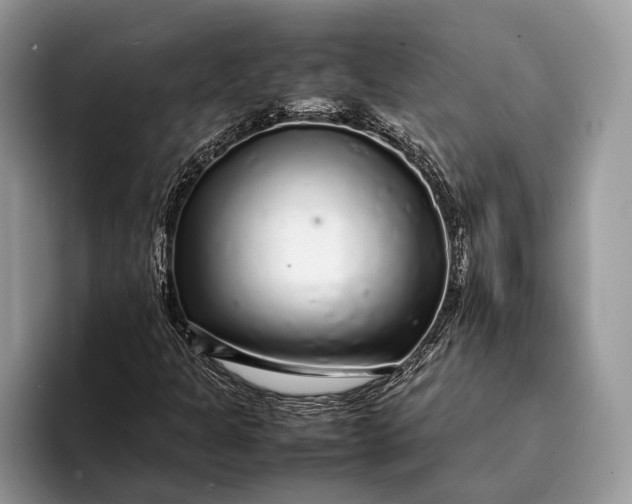 X0000093161301200710171202