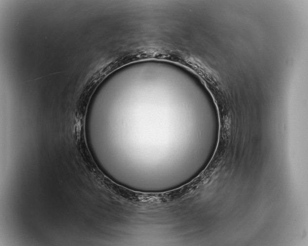 X0000093161302200710171202