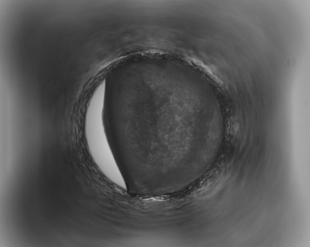 X0000093161303200710171202