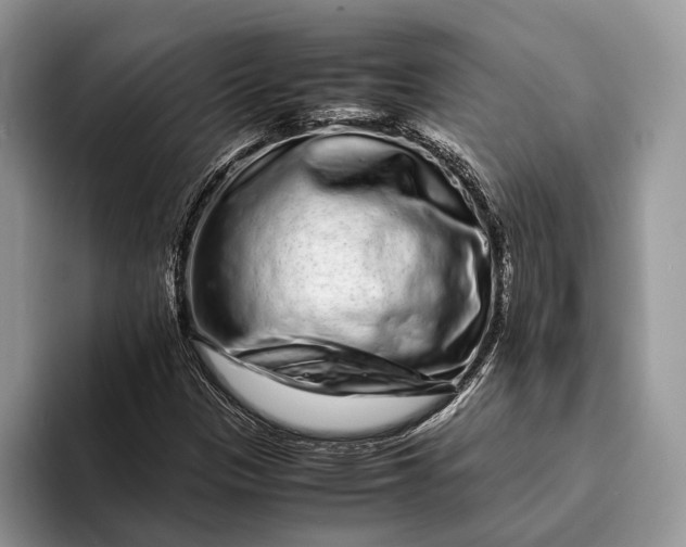X0000093161305200710171202