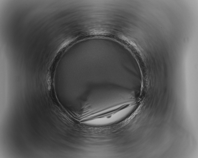 X0000093161306200710171202