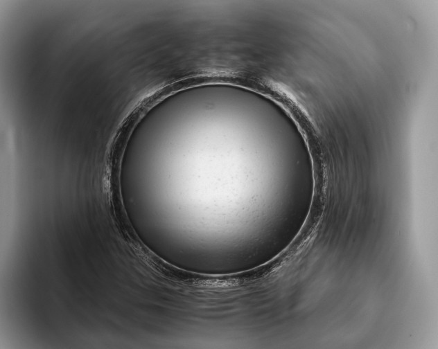 X0000093161307200710171202